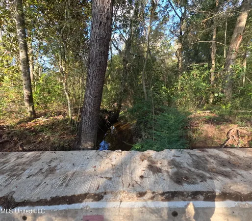 $215,000 | William Warren Road, Collins, MS 39428