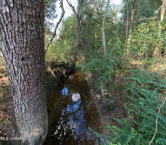 $240,000 | William Warren Road, Collins, MS 39428