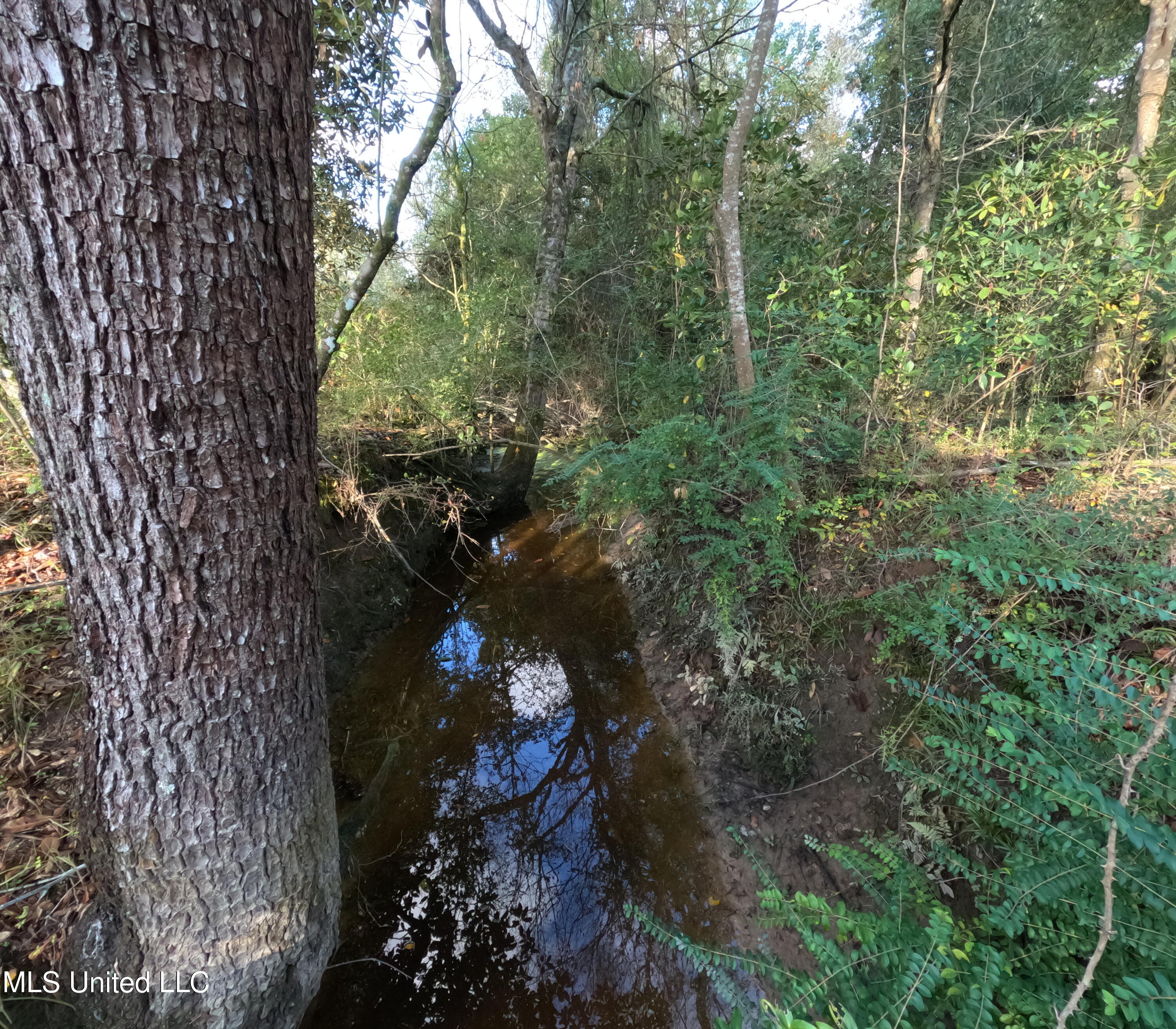William Warren Road Collins, MS 39428 - Photo 44 of 115 GOPR0667