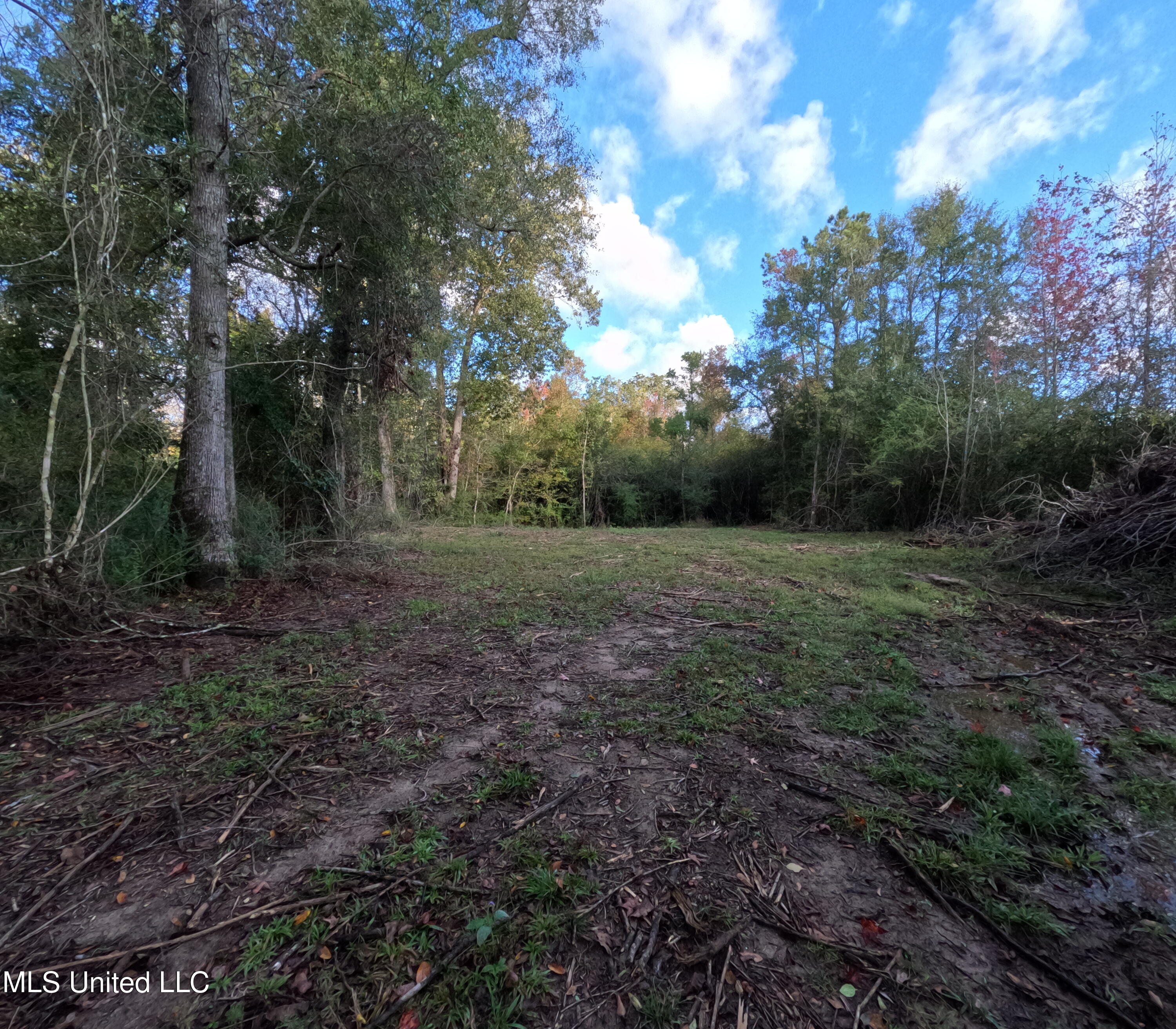William Warren Road Collins, MS 39428 - Photo 45 of 115 GOPR0668