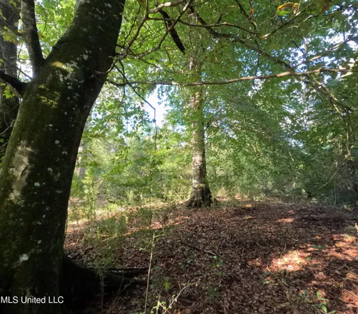 $215,000 | William Warren Road, Collins, MS 39428