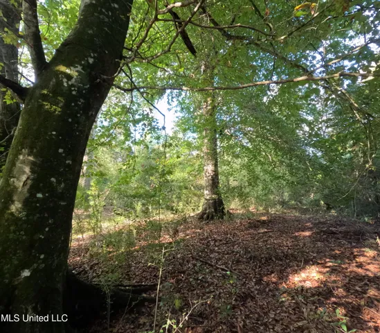 $240,000 | William Warren Road, Collins, MS 39428