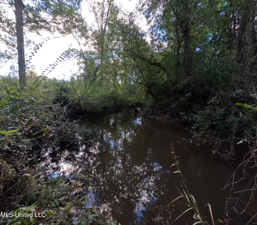 $215,000 | William Warren Road, Collins, MS 39428