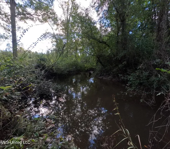 $240,000 | William Warren Road, Collins, MS 39428