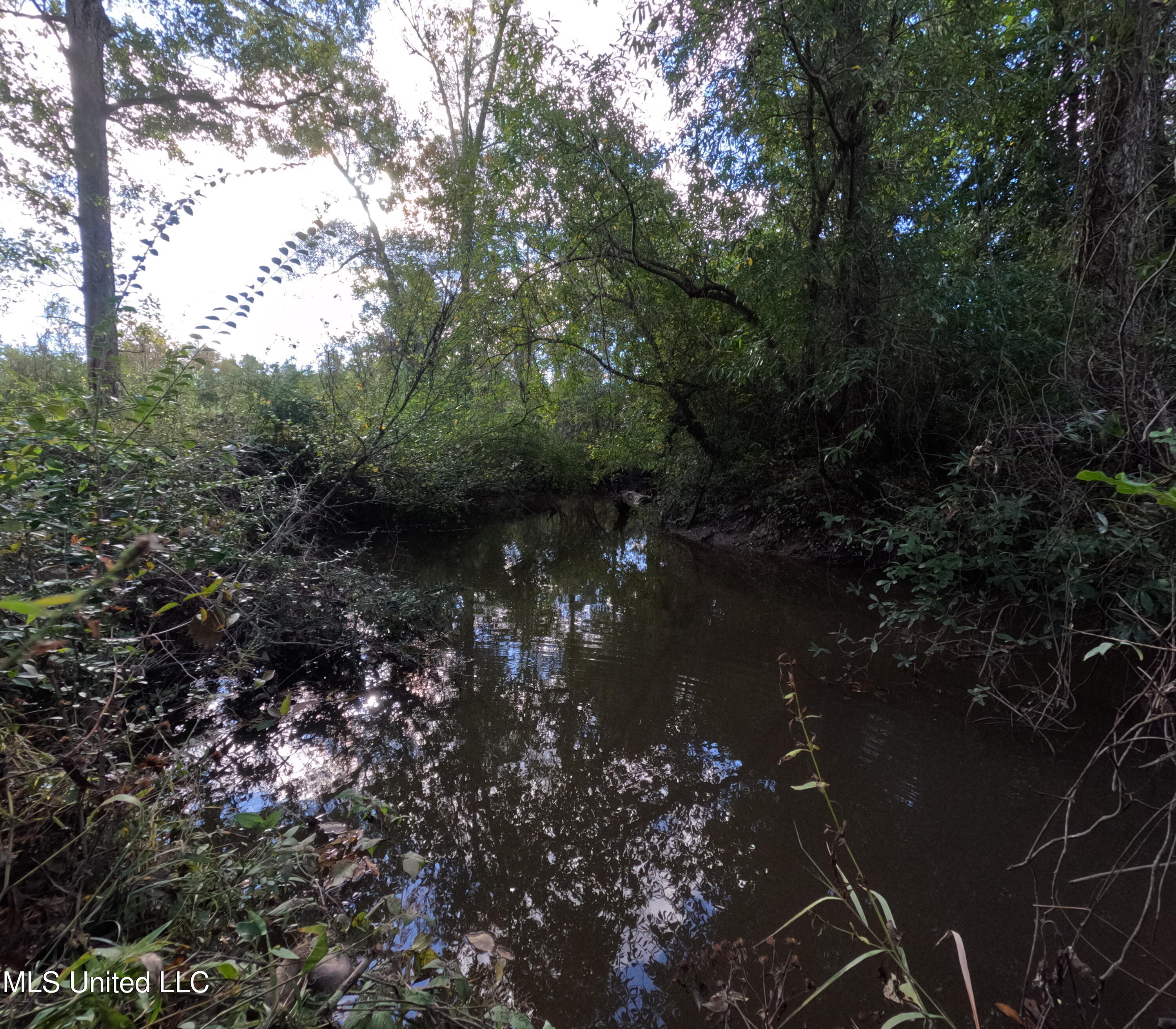 William Warren Road Collins, MS 39428 - Photo 47 of 115 GOPR0675