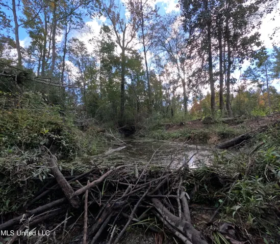 $240,000 | William Warren Road, Collins, MS 39428