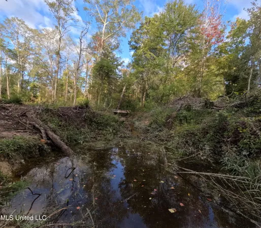 $215,000 | William Warren Road, Collins, MS 39428