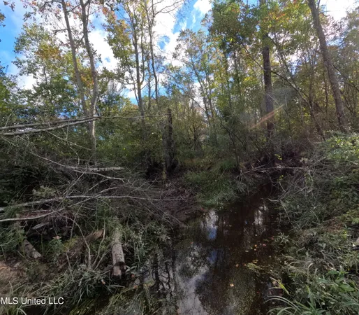 $215,000 | William Warren Road, Collins, MS 39428