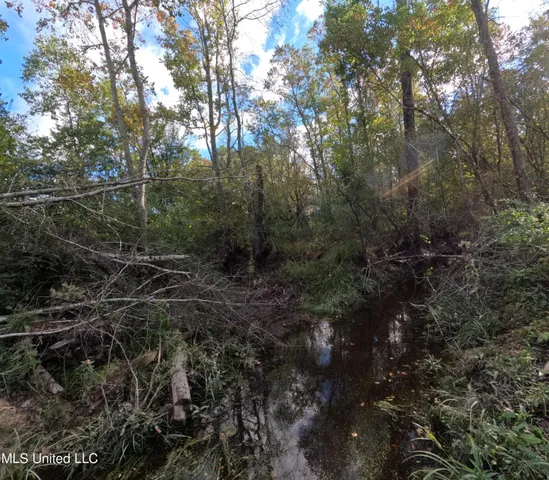 $240,000 | William Warren Road, Collins, MS 39428