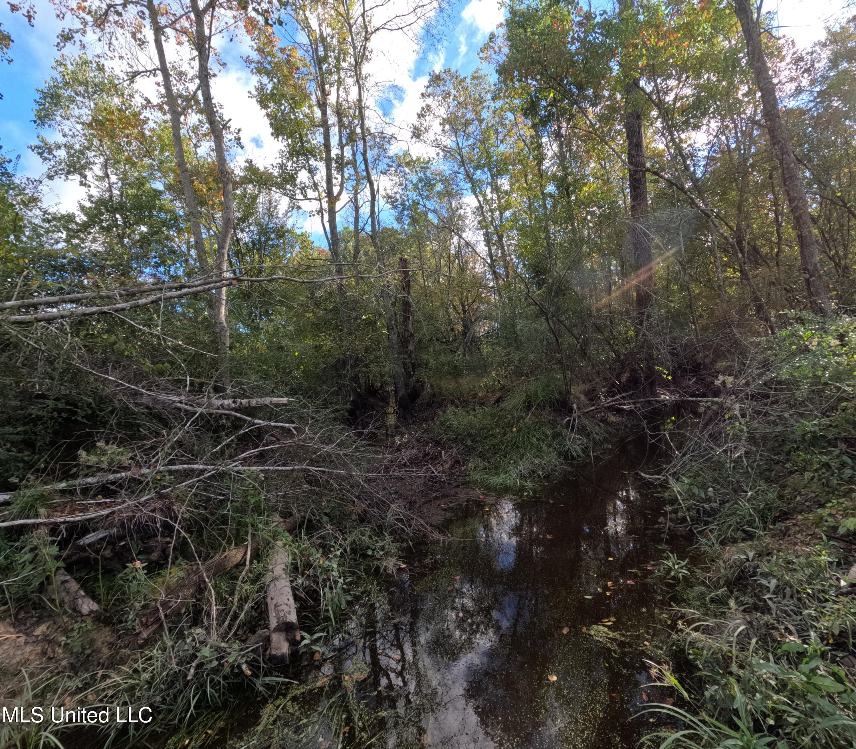 William Warren Road Collins, MS 39428 - Photo 50 of 115 GOPR0679