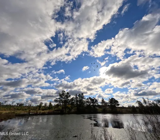 $215,000 | William Warren Road, Collins, MS 39428