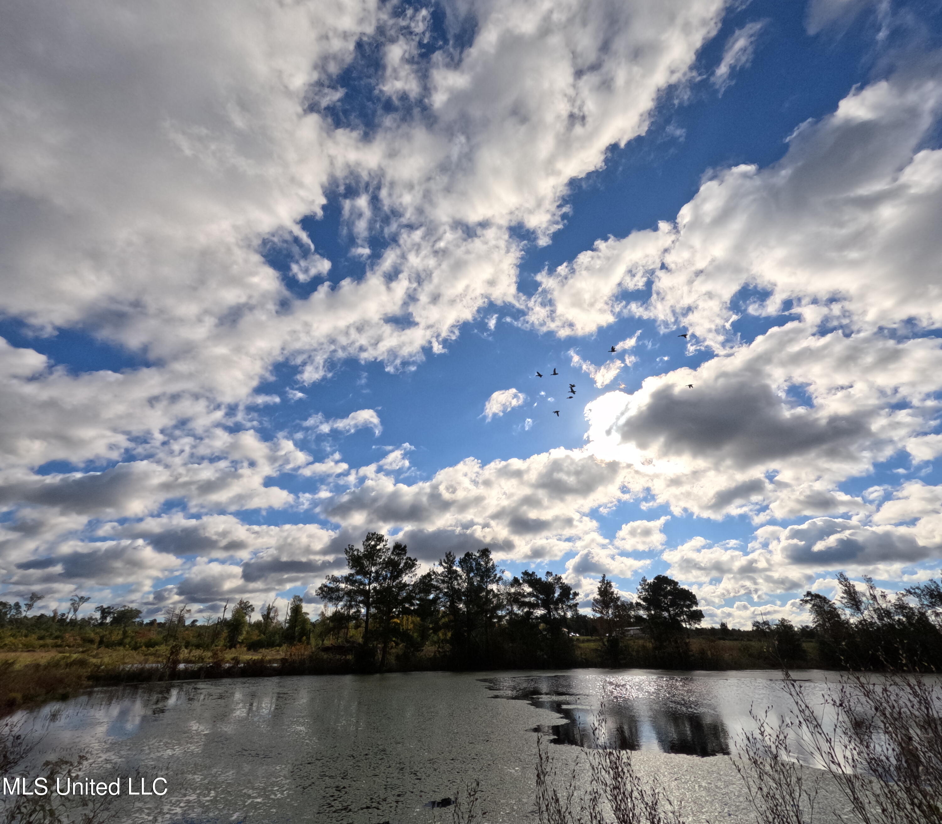 William Warren Road Collins, MS 39428 - Photo 5 of 115 GOPR0726