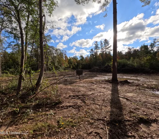 $215,000 | William Warren Road, Collins, MS 39428