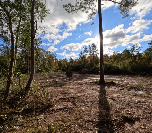 $215,000 | William Warren Road, Collins, MS 39428