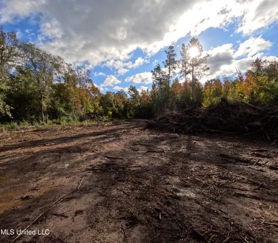 $240,000 | William Warren Road, Collins, MS 39428