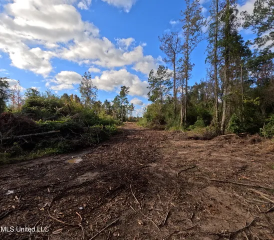 $240,000 | William Warren Road, Collins, MS 39428