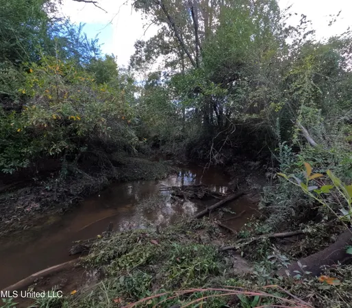 $215,000 | William Warren Road, Collins, MS 39428