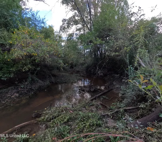 $240,000 | William Warren Road, Collins, MS 39428