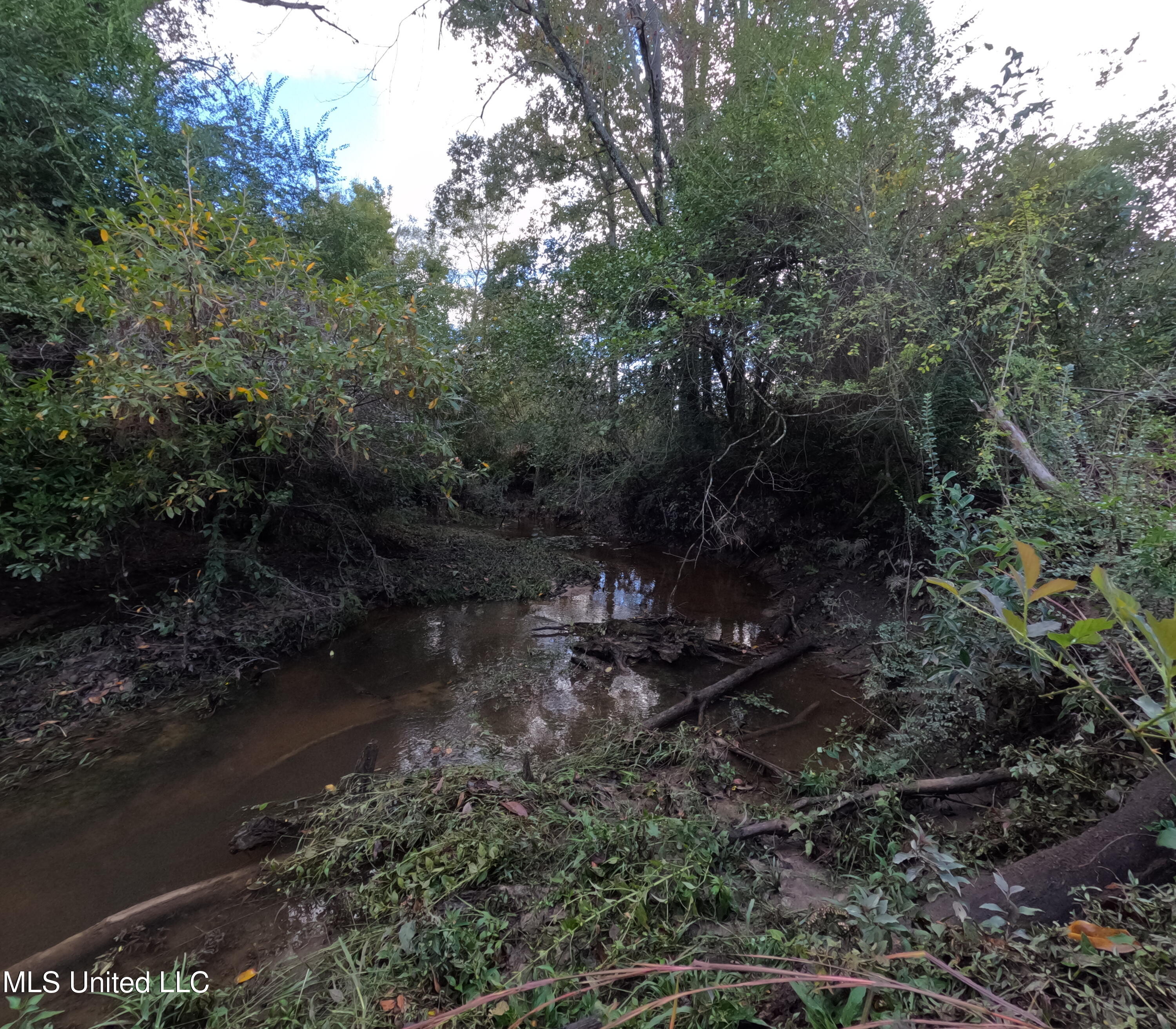 William Warren Road Collins, MS 39428 - Photo 55 of 115 GOPR0685