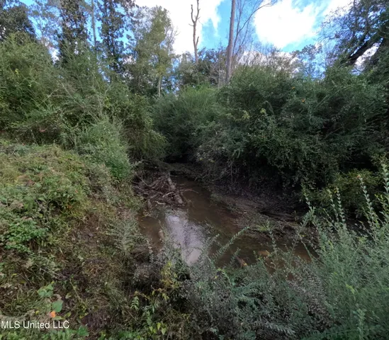 $240,000 | William Warren Road, Collins, MS 39428