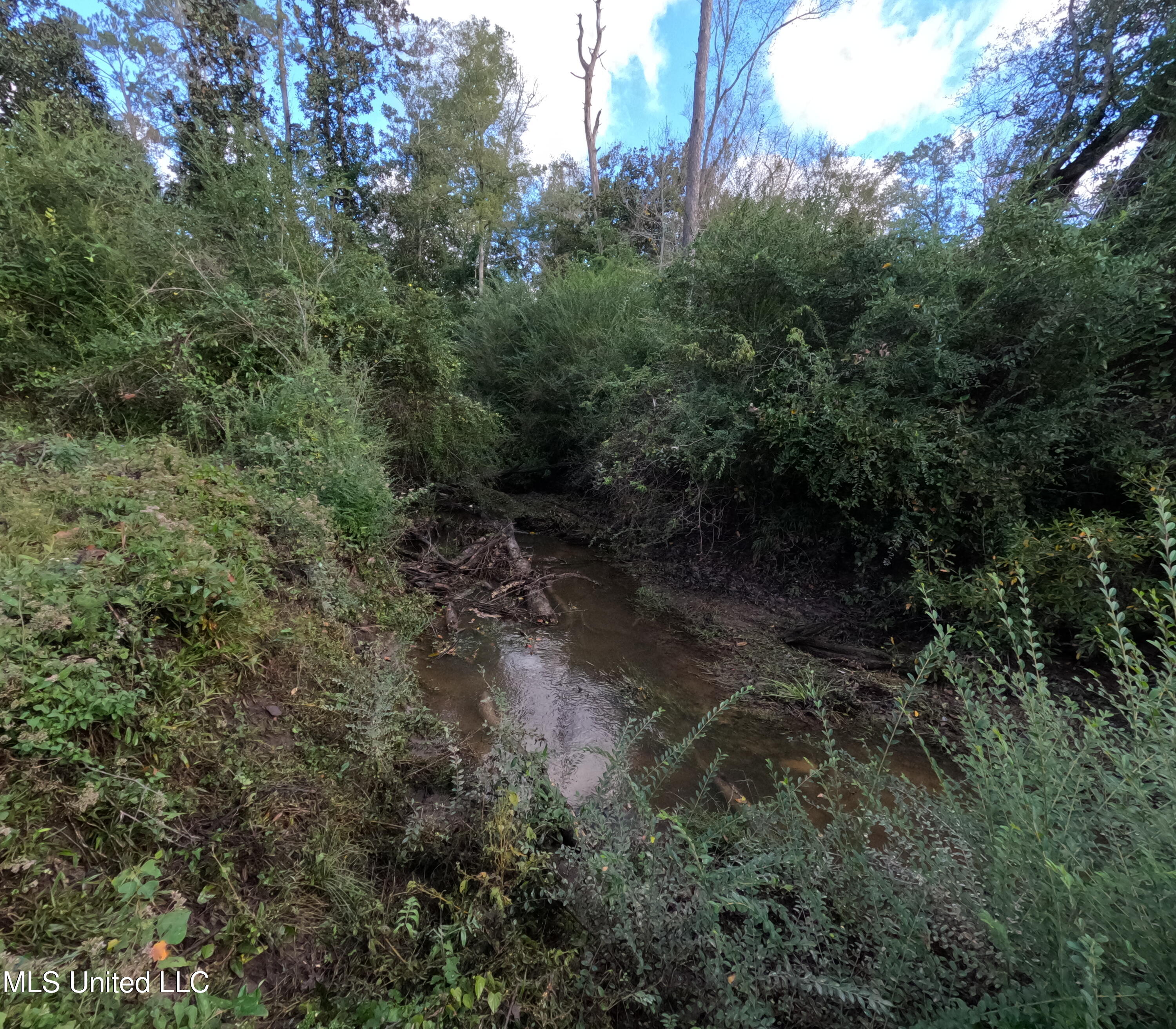 William Warren Road Collins, MS 39428 - Photo 56 of 115 GOPR0686