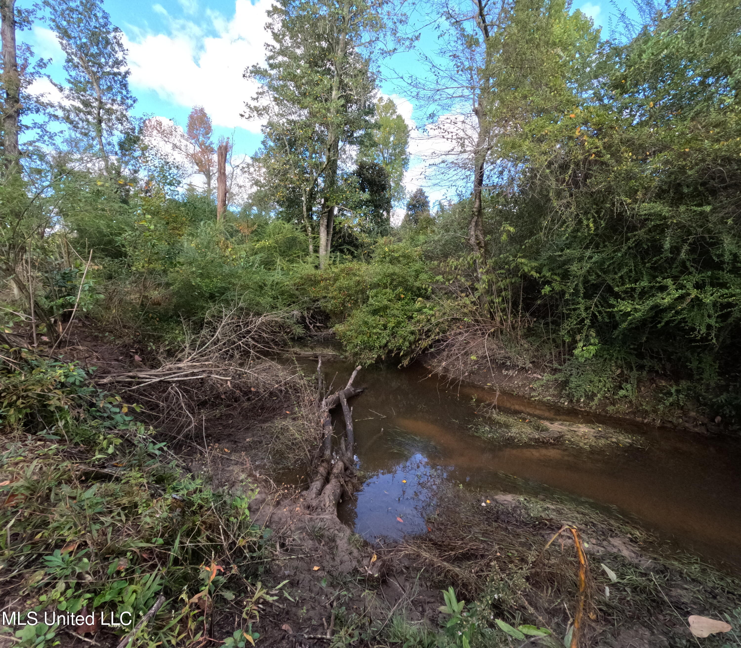 William Warren Road Collins, MS 39428 - Photo 57 of 115 GOPR0687