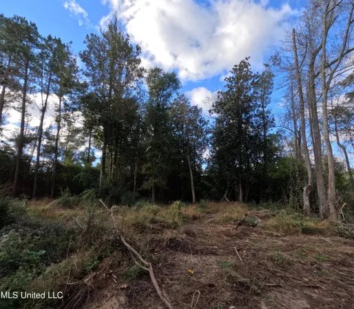 $215,000 | William Warren Road, Collins, MS 39428
