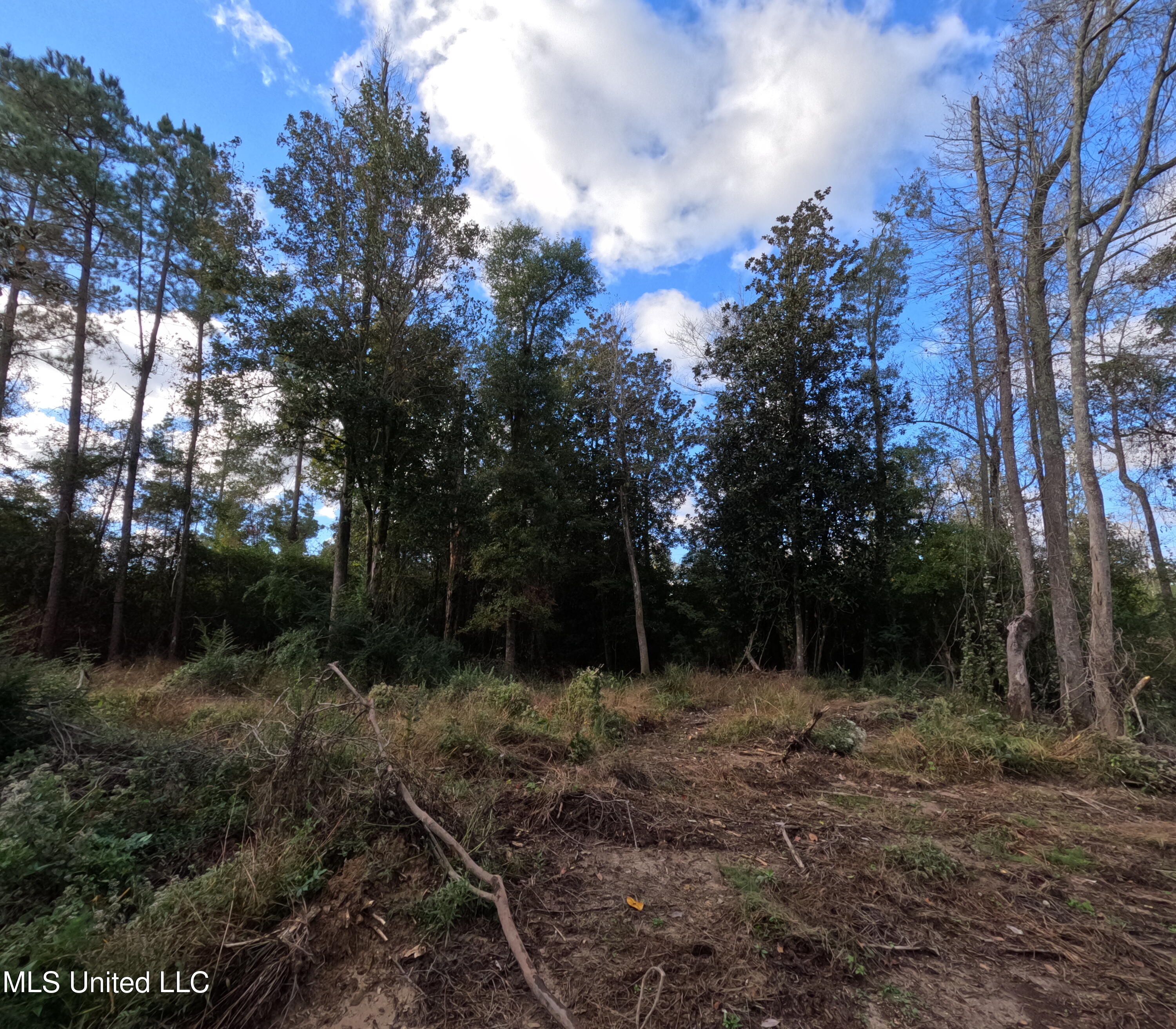 William Warren Road Collins, MS 39428 - Photo 58 of 115 GOPR0688