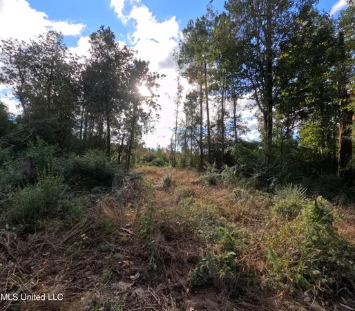 $215,000 | William Warren Road, Collins, MS 39428