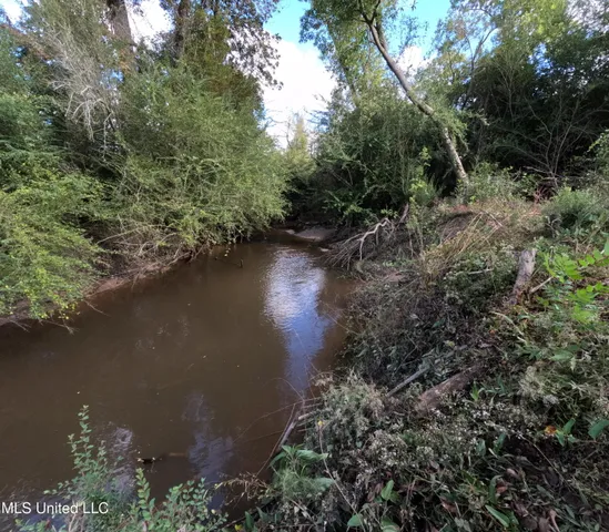 $240,000 | William Warren Road, Collins, MS 39428