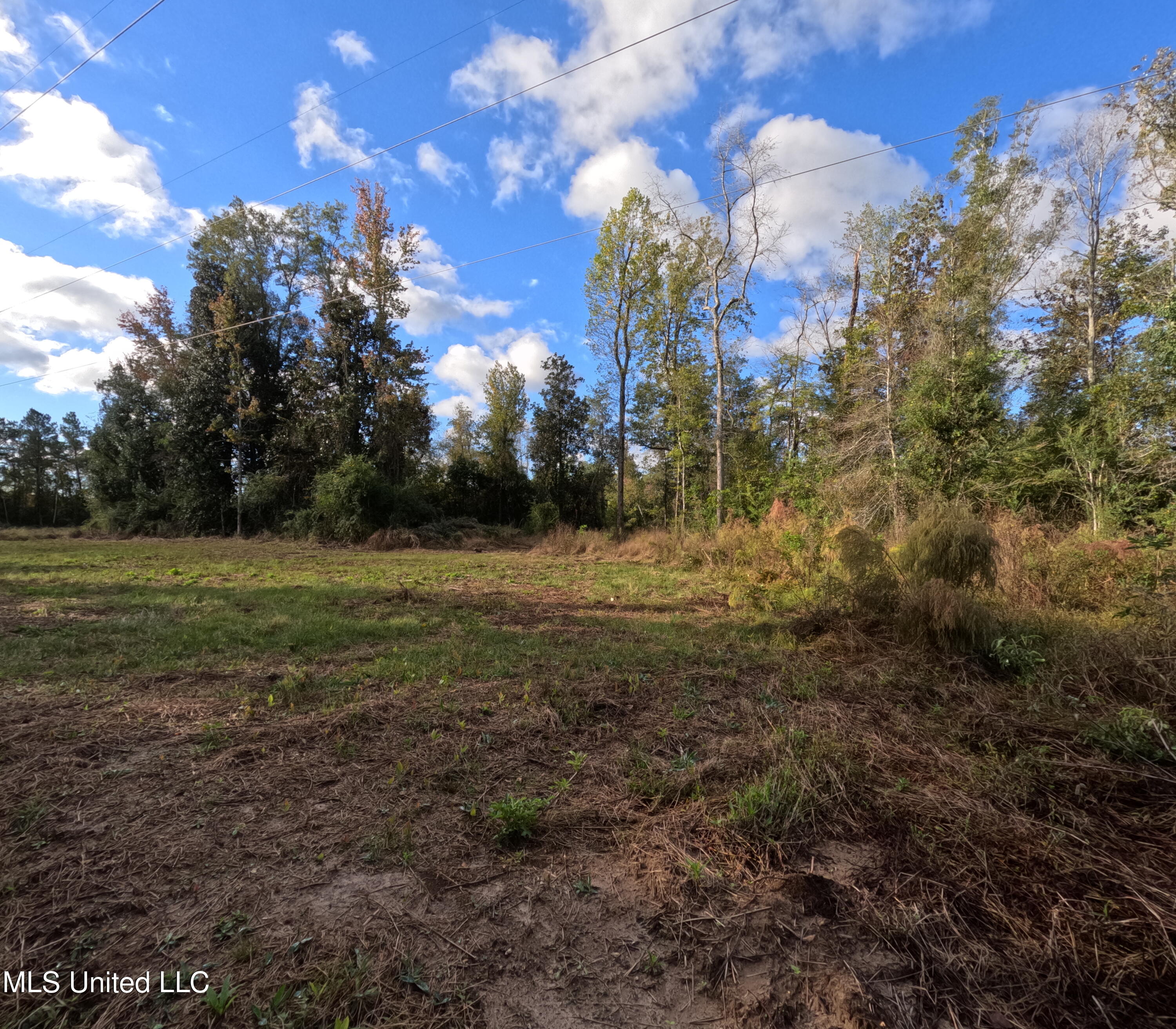 William Warren Road Collins, MS 39428 - Photo 61 of 115 GOPR0694