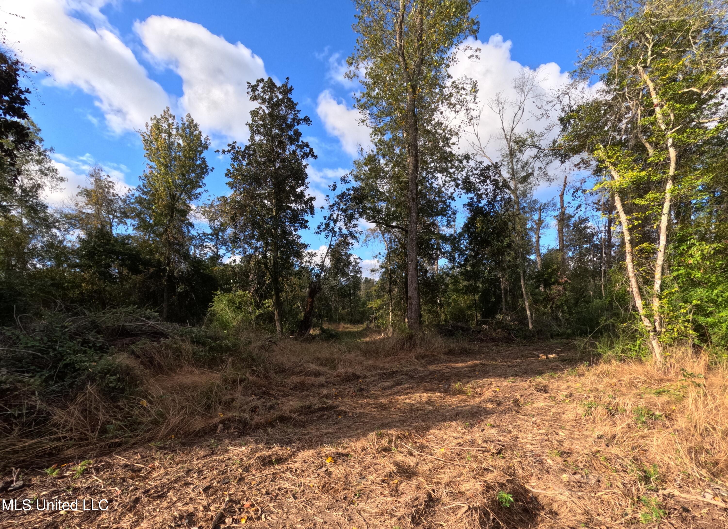 William Warren Road Collins, MS 39428 - Photo 63 of 115 GOPR0696