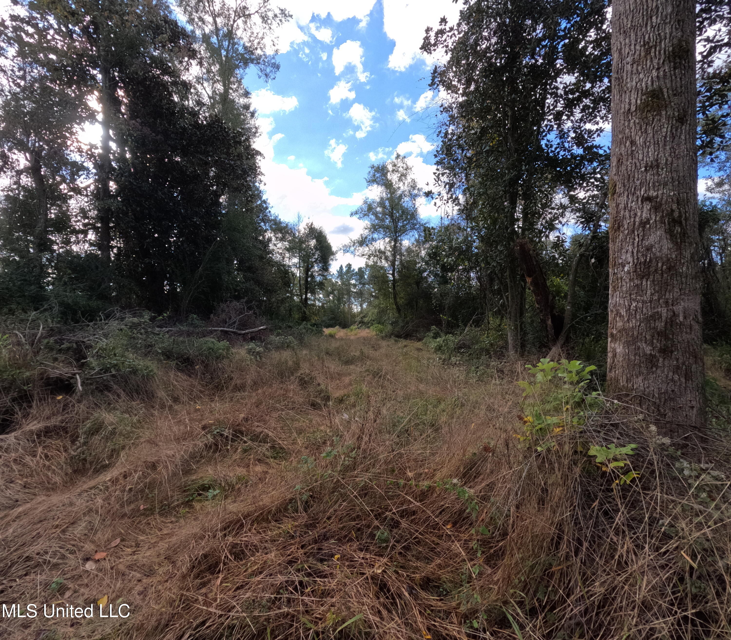 William Warren Road Collins, MS 39428 - Photo 64 of 115 GOPR0697