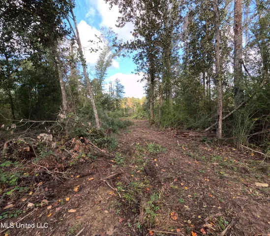 $240,000 | William Warren Road, Collins, MS 39428