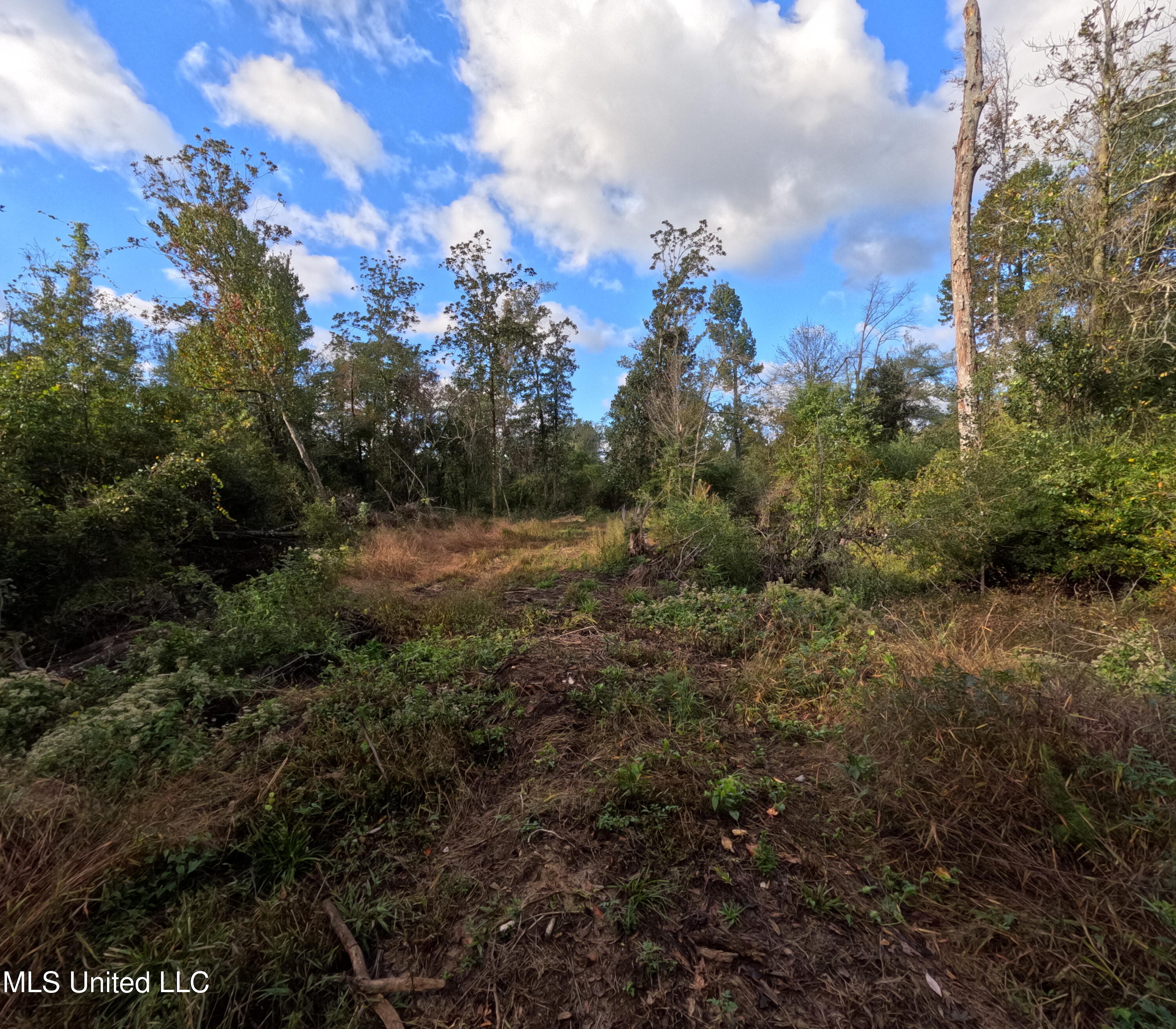 William Warren Road Collins, MS 39428 - Photo 66 of 115 GOPR0699