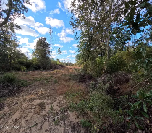 $215,000 | William Warren Road, Collins, MS 39428