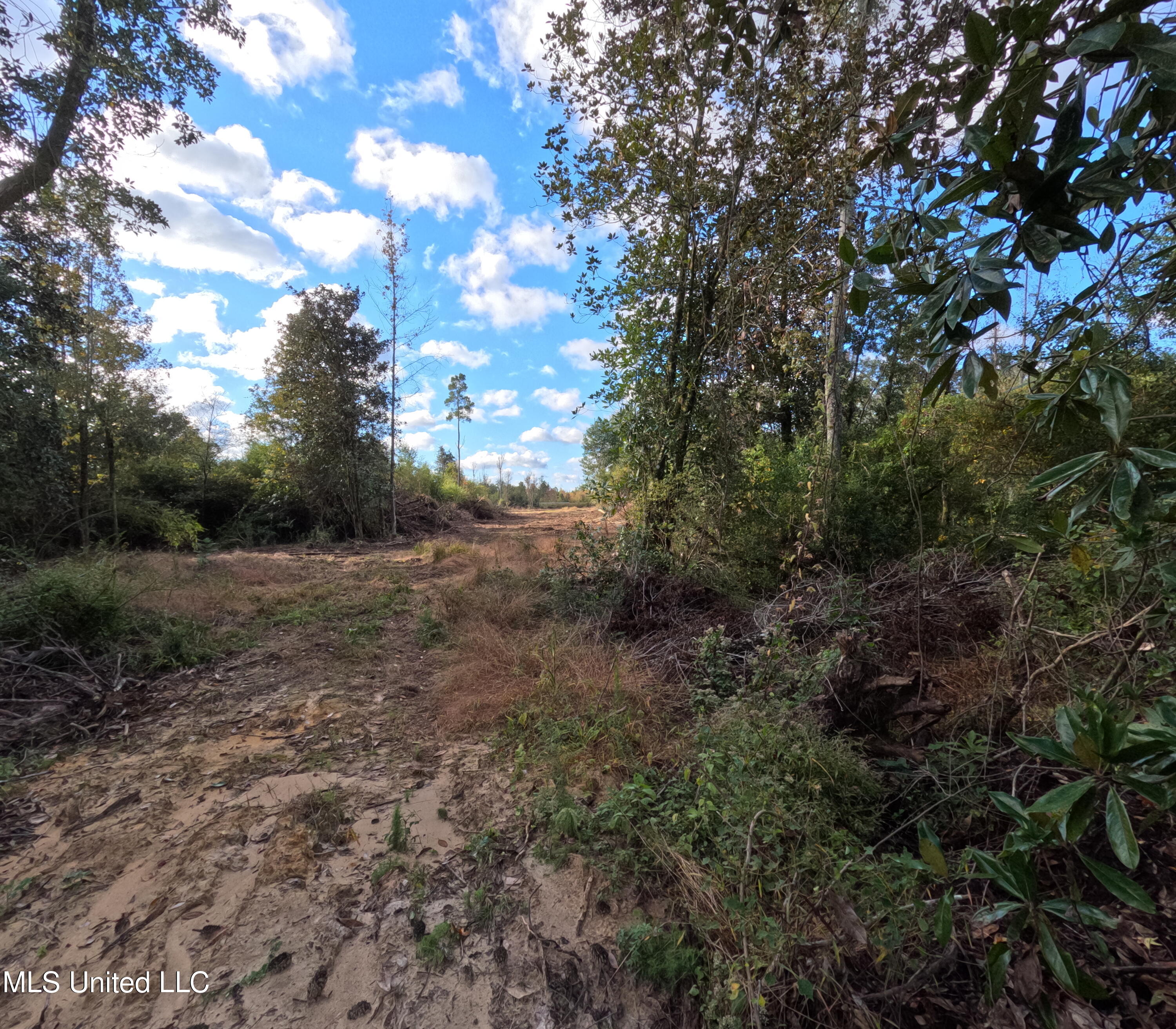 William Warren Road Collins, MS 39428 - Photo 67 of 115 GOPR0700