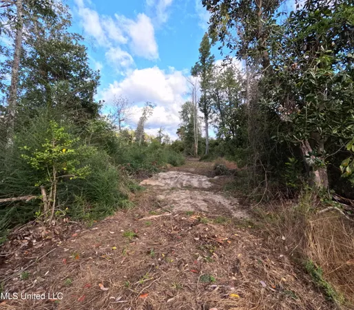 $215,000 | William Warren Road, Collins, MS 39428