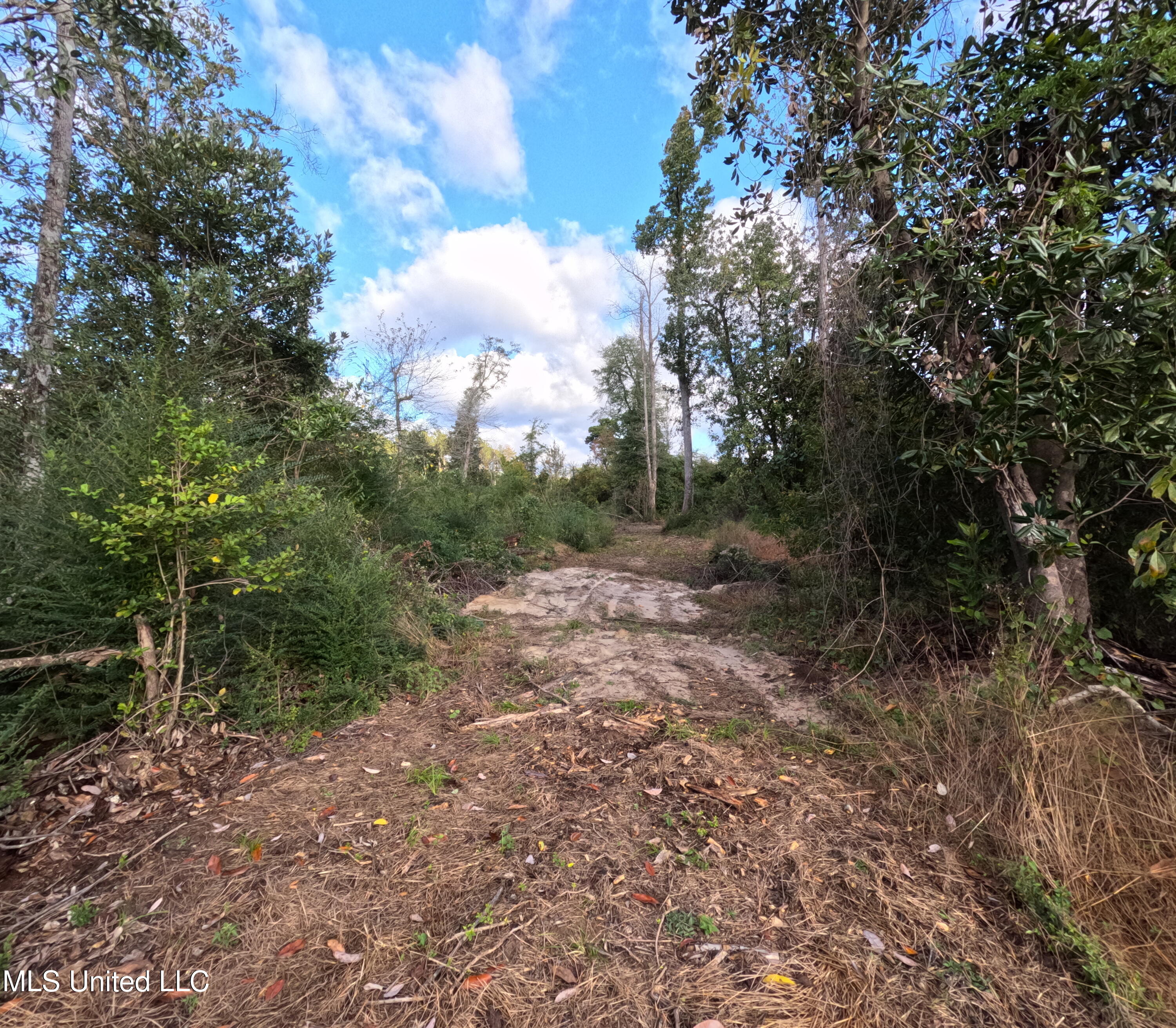 William Warren Road Collins, MS 39428 - Photo 68 of 115 GOPR0701