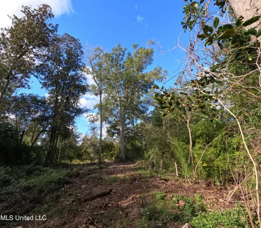 $215,000 | William Warren Road, Collins, MS 39428