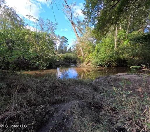 $215,000 | William Warren Road, Collins, MS 39428