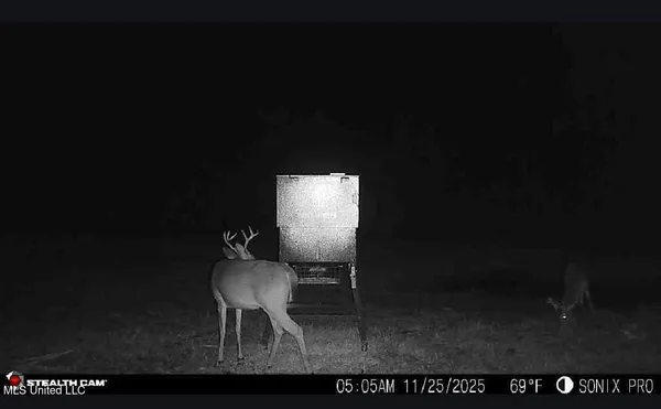 $215,000 | William Warren Road, Collins, MS 39428