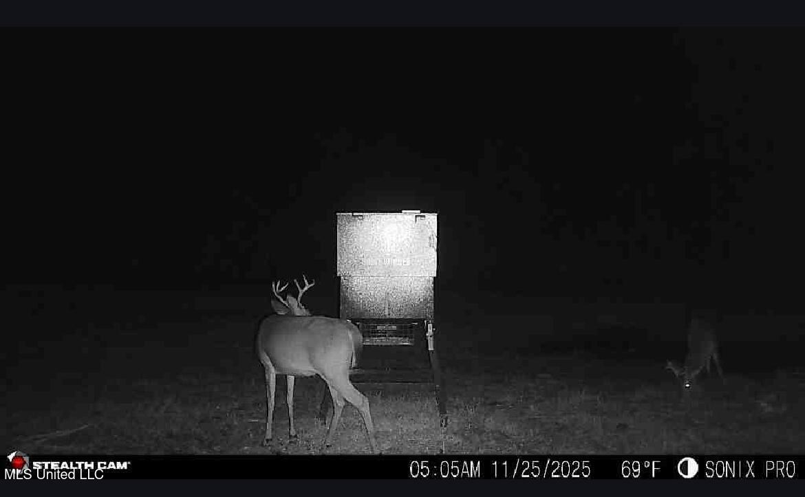 William Warren Road Collins, MS 39428 - Photo 7 of 115 IMG_20251127_202532