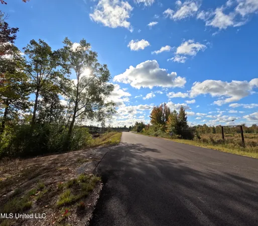 $215,000 | William Warren Road, Collins, MS 39428