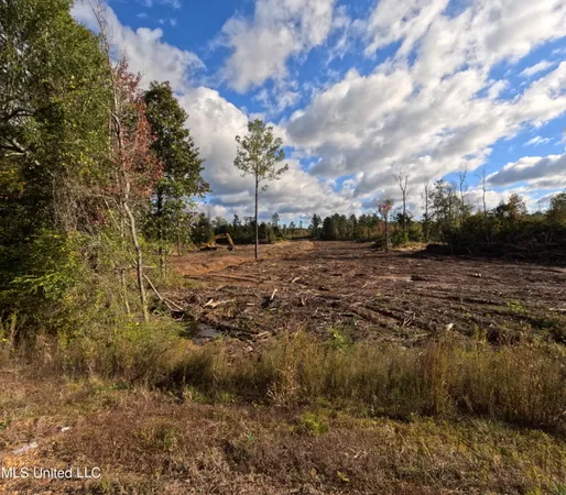 $215,000 | William Warren Road, Collins, MS 39428