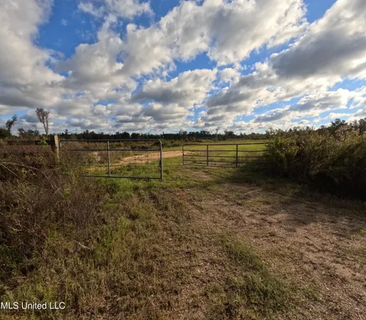$215,000 | William Warren Road, Collins, MS 39428