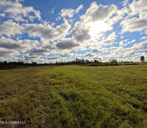 $215,000 | William Warren Road, Collins, MS 39428