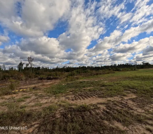 $215,000 | William Warren Road, Collins, MS 39428