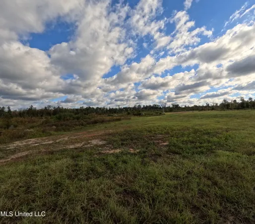 $215,000 | William Warren Road, Collins, MS 39428