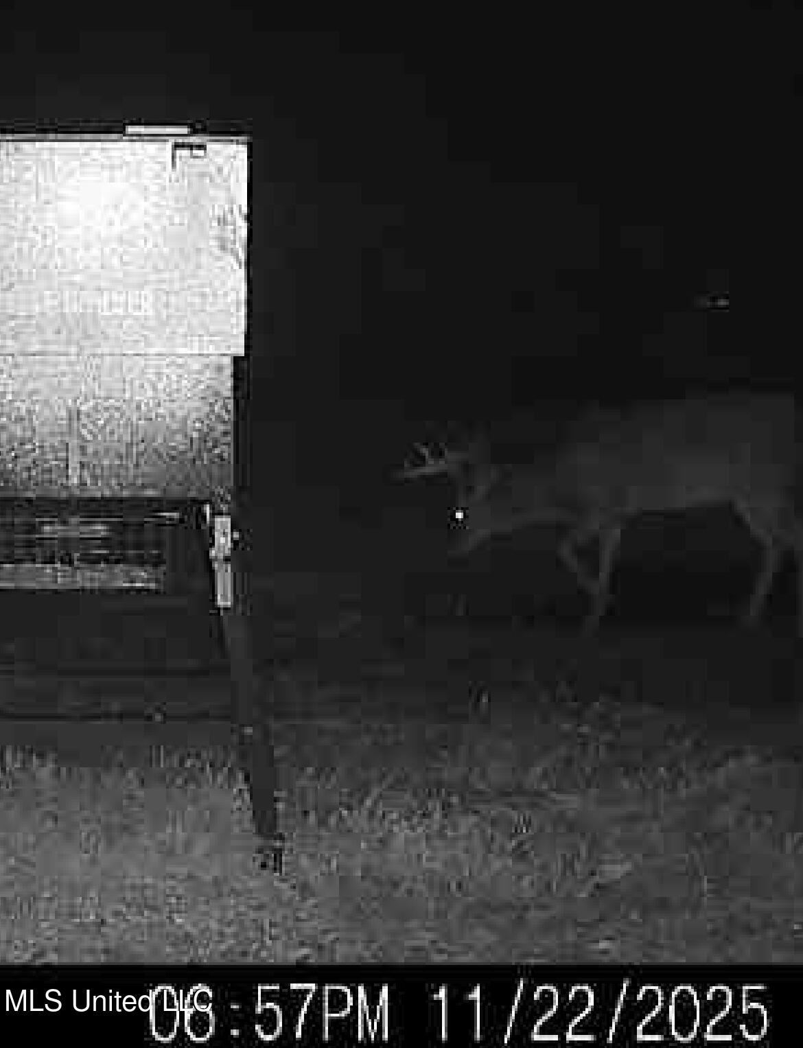 William Warren Road Collins, MS 39428 - Photo 8 of 115 IMG_20251123_073556